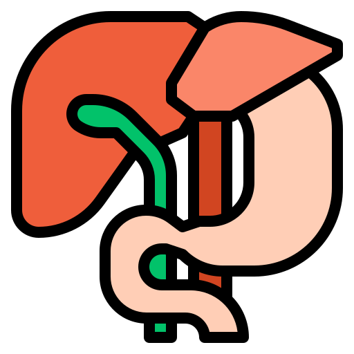 hígado Ultimatearm Lineal Color icono