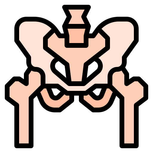 pelvis Ultimatearm Lineal Color icono