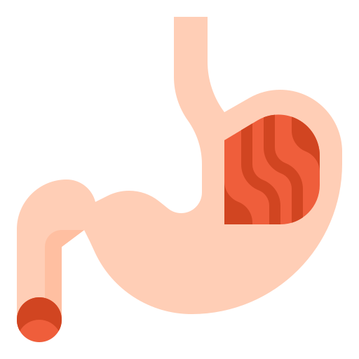 estomac Ultimatearm Flat Icône