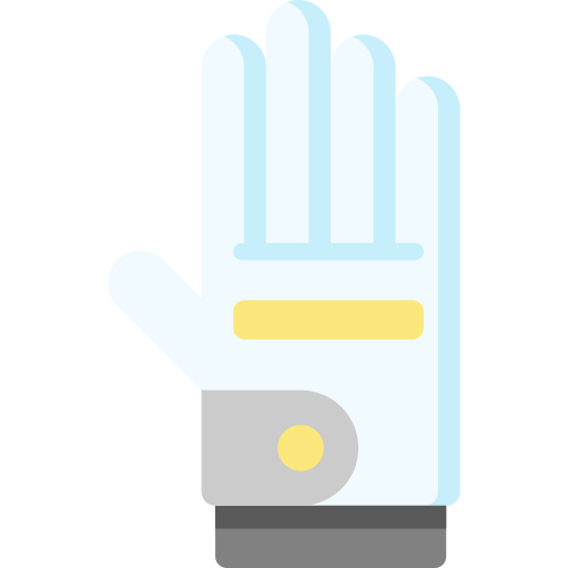 Golf gloves Special Flat icon