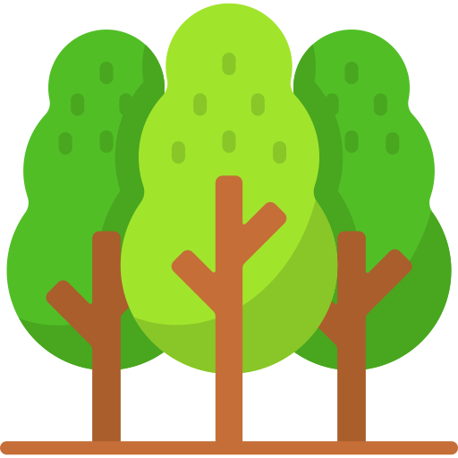 森 Special Flat icon