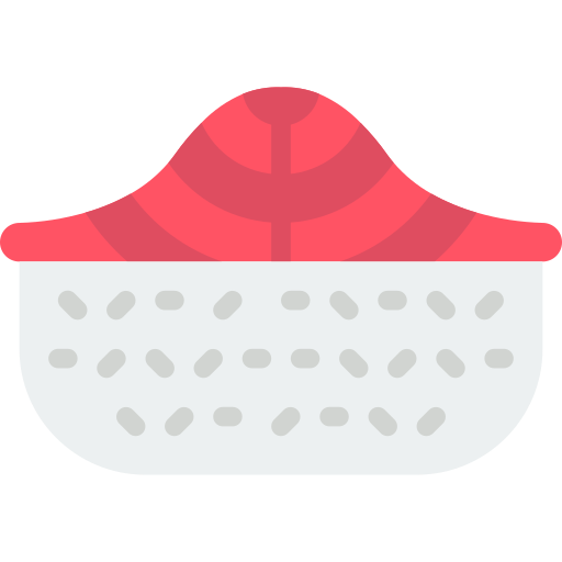 Salmon Basic Miscellany Flat icon