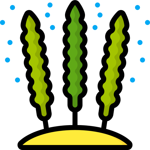alga marina Basic Miscellany Lineal Color icona