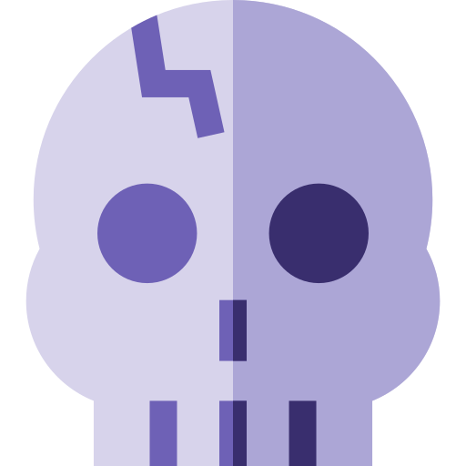cranio Basic Straight Flat icona