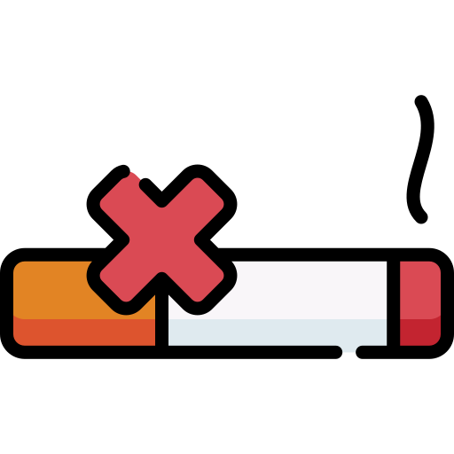 No smoking Special Lineal color icon