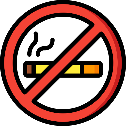 zakaz palenia Basic Miscellany Lineal Color ikona