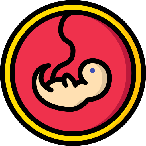 Fetus Basic Miscellany Lineal Color icon