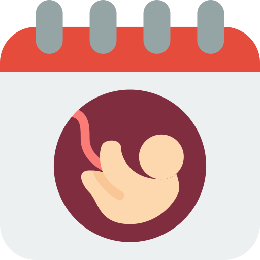 Birth Basic Miscellany Flat icon