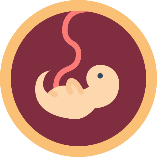 feto Basic Miscellany Flat icona