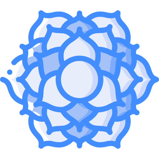 korona Basic Miscellany Blue ikona