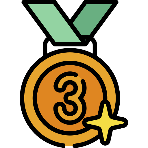 bronzemedaille Special Lineal color icon