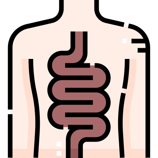 Intestine Detailed Straight Lineal color icon