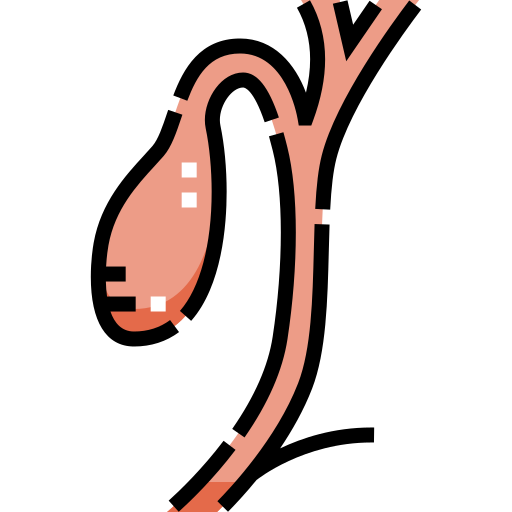 Gallbladder Detailed Straight Lineal color icon