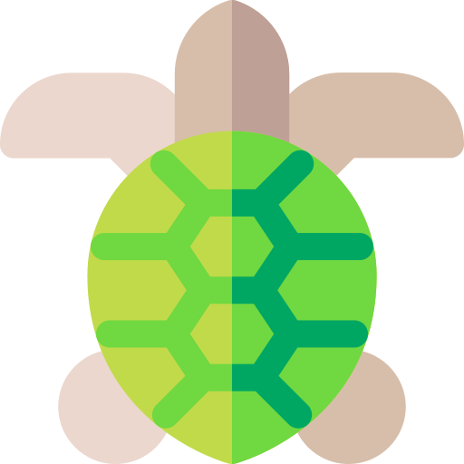 schildpad Basic Rounded Flat icoon