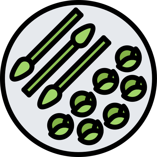 Asparagus Coloring Color icon