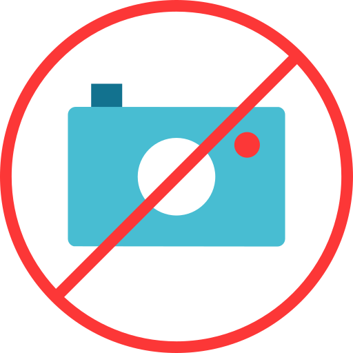 Photograph Special Flat icon