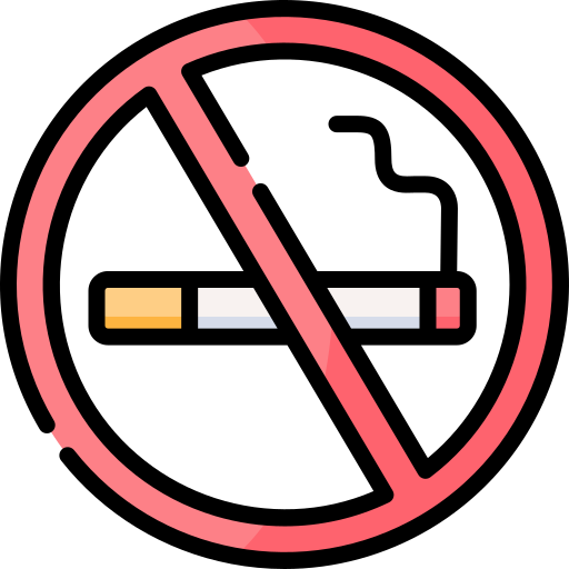 ne pas fumer Special Lineal color Icône