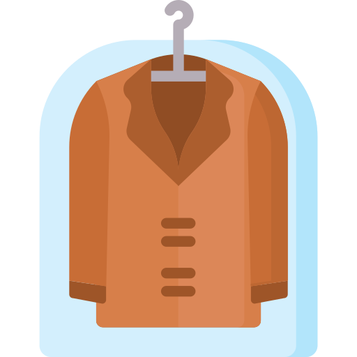 Dry cleaning Special Flat icon