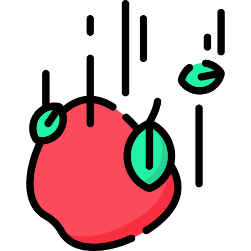 manzana Special Lineal color icono