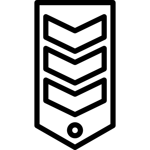 chevron Special Lineal icona