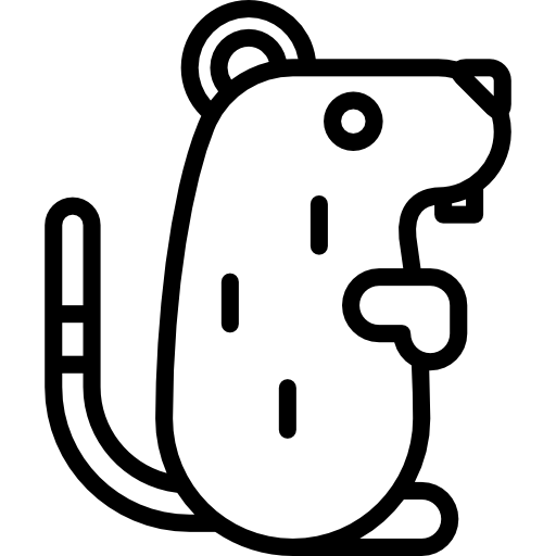 Крыса Special Lineal иконка