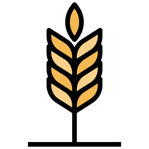 Barley Surang Lineal Color icon