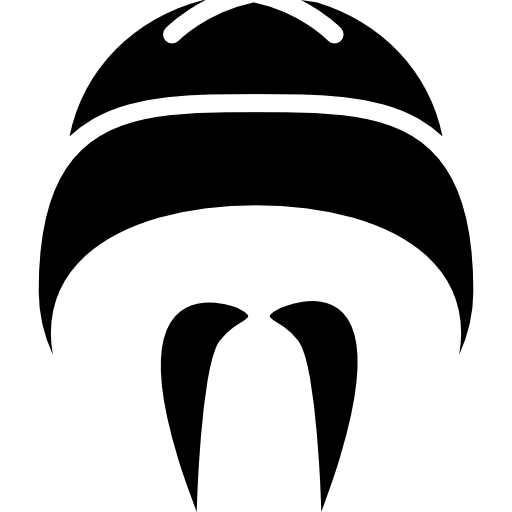 Chinese hat and moustache  icon