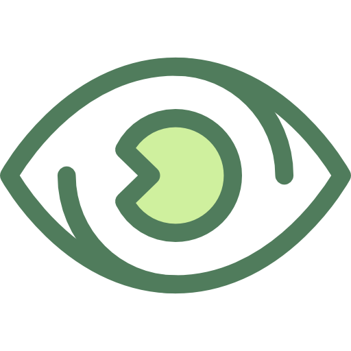 Eye Monochrome Green icon