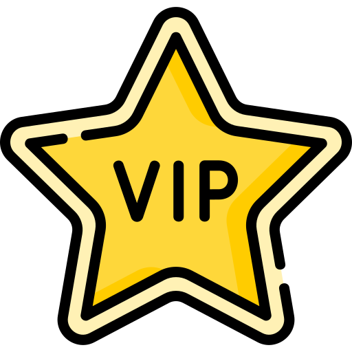 vip Special Lineal color icon