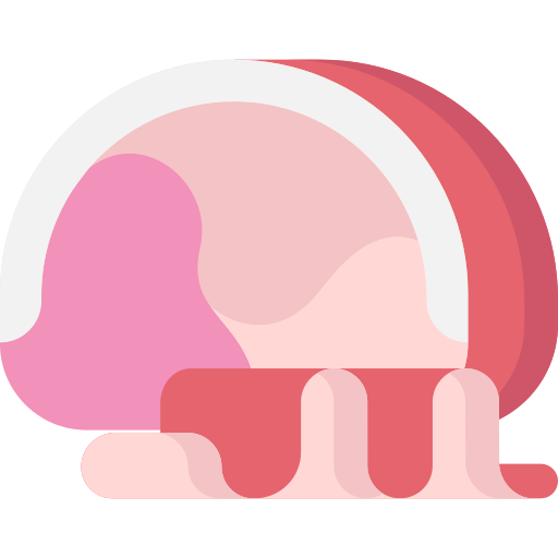 Ham Special Flat icon