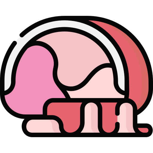 Ham Special Lineal color icon