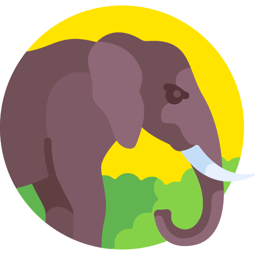 elefante Detailed Flat Circular Flat icona