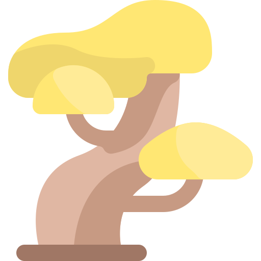 盆栽 bqlqn Flat icon