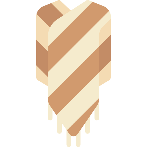 Poncho Special Flat icon