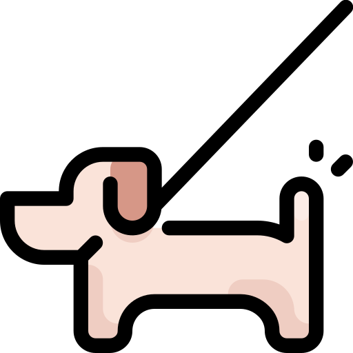 Walking the dog Generic Outline Color icon