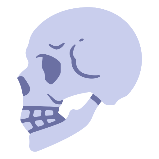 cranio MaxIcons Flat icona