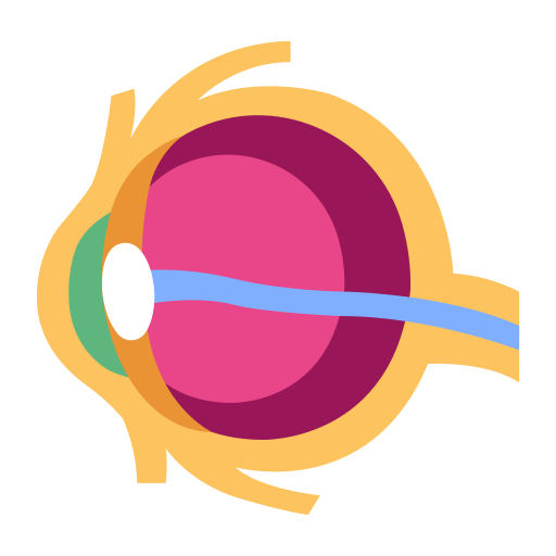 Eye MaxIcons Flat icon