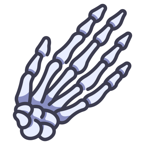 huesos de la mano MaxIcons Lineal color icono