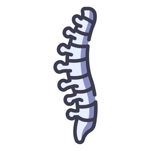 Spine MaxIcons Lineal color icon