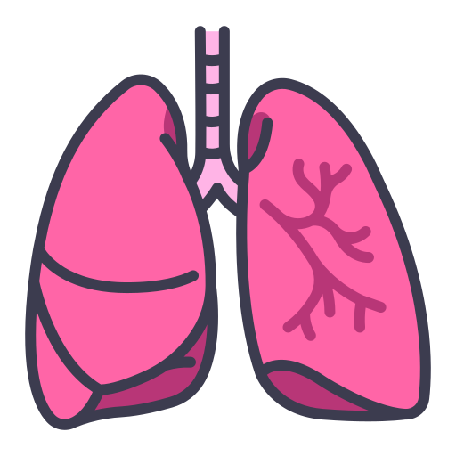 Lung MaxIcons Lineal color icon