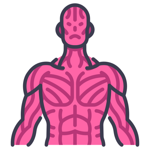 Muscle MaxIcons Lineal color icon