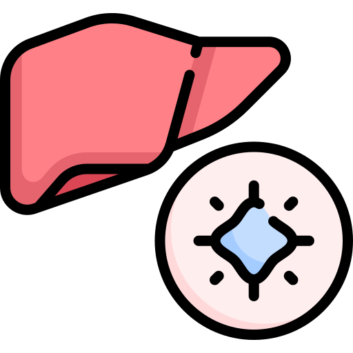 肝臓 Special Lineal color icon