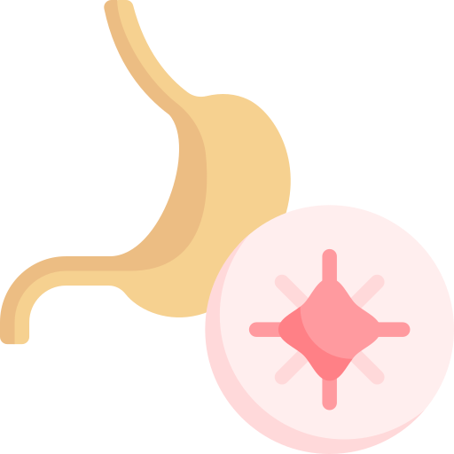 estómago Special Flat icono