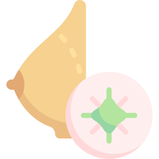 胸 Special Flat icon
