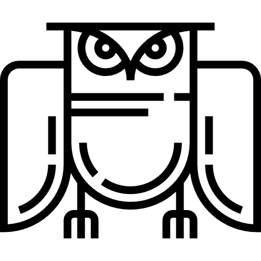 Owl Detailed Straight Lineal icon