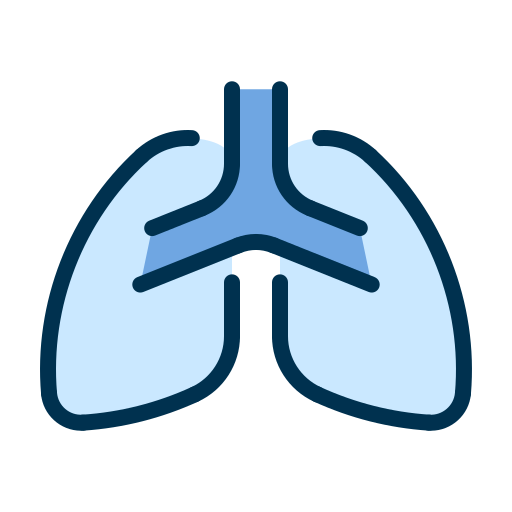 polmoni umani Generic Outline Color icona