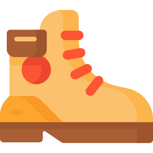 Boot Special Flat icon