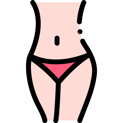 cuerpo Detailed Rounded Lineal color icono