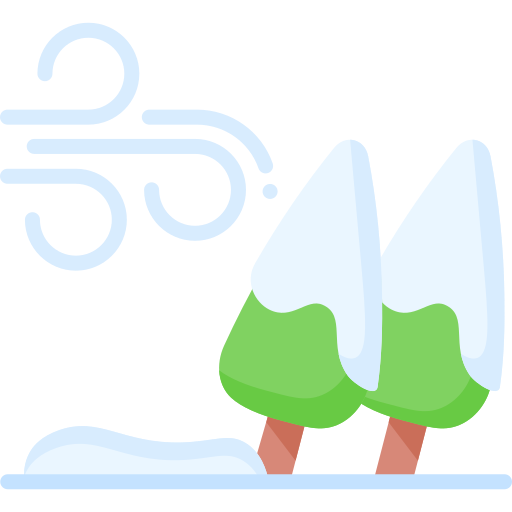 雪 Special Flat icon