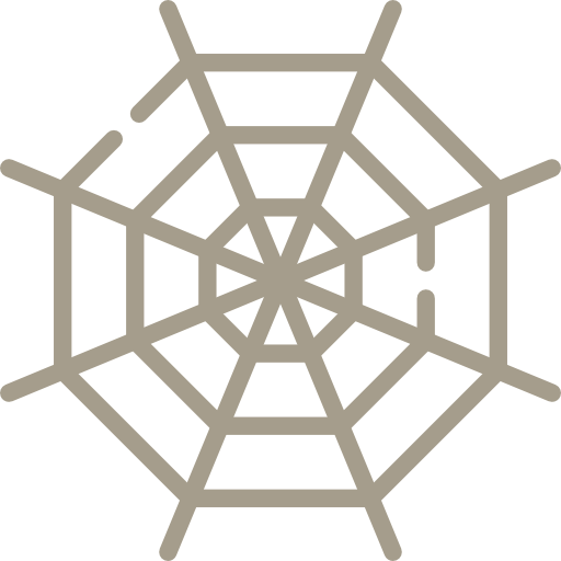 Spider web Special Flat icon